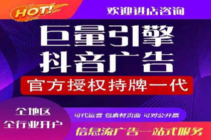 某行业巨头如何利用百度推广服务费提升业绩